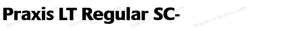 Praxis LT Regular SC字体转换